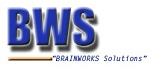 Brainworks Solutions Pvt Ltd